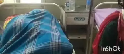 प्रतापपुर: ग्राम सरहरी में जंगली खुखड़ी खाने से एक ही परिवार के चार लोगों की तबीयत बिगड़ी, मेडिकल कॉलेज अंबिकापुर में इलाज जारी