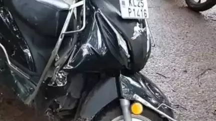 പുനലൂർ: കുളത്തൂപ്പുഴയിൽ കാട്ടുപോത്തിന്റെ ആക്രമണം, സ്കൂട്ടർ യാത്രികന് അത്ഭുത രക്ഷ