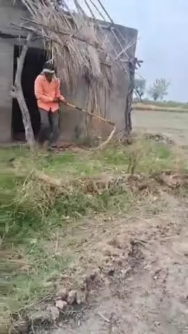 माधौगढ़: कुरसेड़ा गांव के पास वन विभाग की टीम ने विशाल अजगर किया रेस्क्यू
