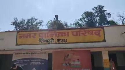 शिवपुरी नगर: शिवपुरी नगर पालिका अध्यक्ष के पति का धमकी भरा ऑडियो हुआ वायरल; कहा- हनुमान जी नहीं, उनके बाप की कसम खा लेना