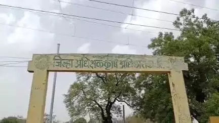 हिंगोली: कृषी कार्यालय येथे, बोगस खताची विक्री करणाऱ्या दुकानदारास पोलीसांची व्हीआयपी ट्रीटमेंट, क्रांतिकारी शेतकरी संघटनेचा आरोप