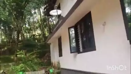 പെരിന്തല്‍മണ്ണ: അങ്ങാടിപ്പുറം വലമ്പൂരിൽ ഇന്ന് പുലർച്ചെ പുലിയെ കണ്ടതായി പ്രദേശവാസി