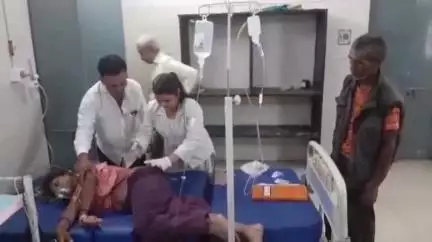 नरसिंहपुर: घर में सो रही महिला को जहरीले सांप ने काटा, हालत गंभीर, जिला अस्पताल में भर्ती