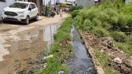 इटावा: नगर पालिका की उदासीनता से पक्का बाग वार्ड के अर्जुन नगर में जलभराव की समस्या से जूझ रहे 200 परिवार #jansamshya