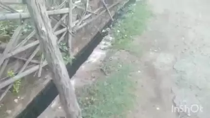 औरैया: विकासखंड औरैया के ग्राम समरथपुर में सफाई न होने के चलते ग्रामीण परेशान, संक्रामक बीमारी फैलने की जताई आशंका #jansamasya