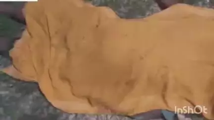 चिरैया: चिरैया थाना क्षेत्र में जमीनी विवाद के चलते एक व्यक्ति को जहर देकर हत्या की गई