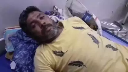 नरसिंहपुर: ग्राम आंडिया में खेत पर जंगली सुअर ने एक व्यक्ति पर किया हमला, जिला अस्पताल में उपचार जारी