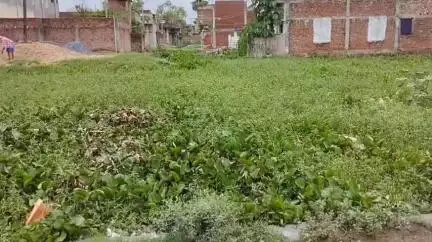 रोह: रोह के रोहाइन पईन से आम लोगों को हो रही परेशानी, तीन दशक से अब तक नहीं हुई खुदाई; घर तक पहुंच रहा गंदा पानी #jansamasya