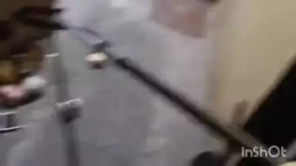 बिजनौर: किरण उत्सव मंडप की किचन में घुसा किंग कोबरा सांप, वन विभाग की टीम ने सांप को पकड़ा