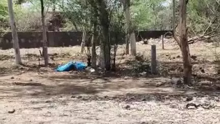 मालपुरा: जयपुर भीलवाड़ा स्टेट हाईवे पर मालपुरा नगर पालिका द्वारा 7 व्यावसायिक भूखंडों की ई-नीलामी 30 जून से 2 जुलाई तक होगी