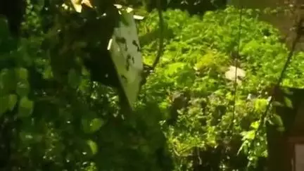 खालापूर: लौजी श्रीराम येथील विद्युत डीपी धोकादायक