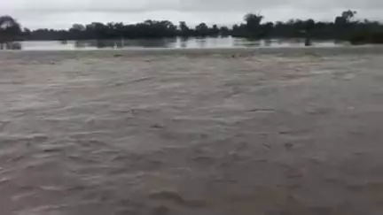 मोहनगढ़: मोहनगढ़ क्षेत्र में भारी बारिश से उफनाई जामनी नदी, यूपी-एमपी को जोड़ने वाले आमघाट पुल पर यातायात प्रतिबंधित