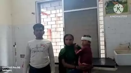 साहिबगंज: बलुआ दियारा: खेत में बकरी घुसने पर बालक को मारकर किया घायल, परिजन सदर अस्पताल पहुंचे