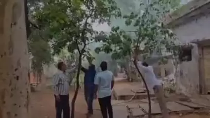 ధర్మవరం తాసిల్దార్ కార్యాలయ ఆవరణలో చెత్త తొలగించిన  తహసీల్దార్ సురేష్ బాబు రెవెన్యూ ఉద్యోగులు.
