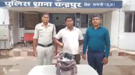 चन्द्रपुर पुलिस ने 12 लीटर कच्ची महुआ शराब के साथ आरोपी को किया गिरफ्तार