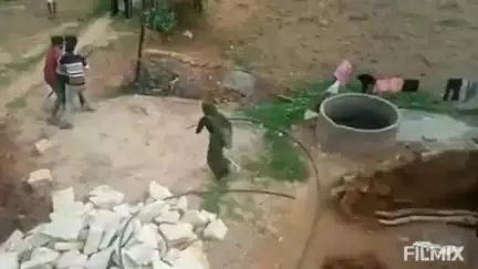 मुरैना: पुरानी रंजिश के चलते मेवदा गांव में युवक के साथ मारपीट, वीडियो वायरल, पुलिस जांच में जुटी