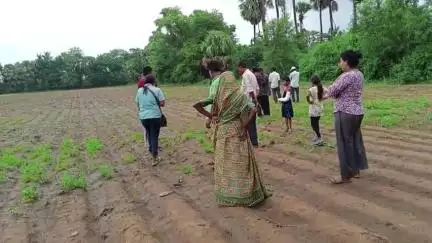 વાઘોડિયા: મહાદેવપુરા દેવકાંઠા વિસ્તારમાં દીપડાએ પશુનું મારન કર્યું , ગ્રામજનોમાં ફફડાટ# jansamasya
