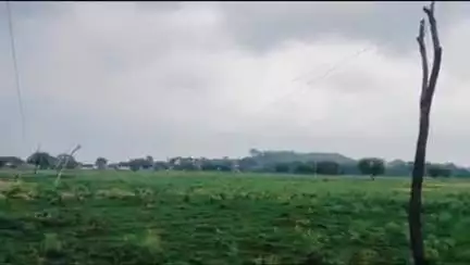 नौगांव: नौगांव थाना क्षेत्र के दोनी में बिजली विभाग की लापरवाही से किसान के जानवरों की मौत