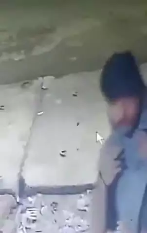 घाटमपुर: घाटमपुर में बेकरी दुकान की टीन शेड काटकर चोर ने की चोरी, CCTV फुटेज हुआ वायरल