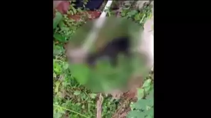 കൊയിലാണ്ടി: പയ്യോളിയിൽ തെരുവുനായയുടെ ആക്രമണത്തിൽ രണ്ടു പേർക്ക് പരിക്കേറ്റു
