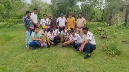 झालरापाटन: झालावाड़ यातायात पुलिस ने मिनी सचिवालय में विभिन्न प्रजातियों के पौधे लगाकर किया पौधारोपण, देखभाल की ली जिम्मेदारी