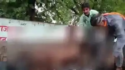 निवाड़ी: सादिकपुरा गांव में आकाशीय बिजली गिरने से 8 बकरियों की हुई मौत, चपेट में आकर दो चरवाहे भी झुलसे