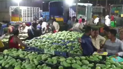ಚಿಕ್ಕಬಳ್ಳಾಪುರ: ಕಪ್ಪು ಸುಂದರಿಗೆ ಇನ್ನಿಲ್ಲದ ಡಿಮ್ಯಾಂಡ್, ನಗರದಲ್ಲಿ ಮಾವಿಗೆ ಸೆಡ್ಡುಹೊಡೆದ ನೇರಳೆ ಹಣ್ಣು