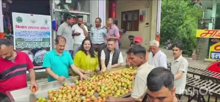 कंडाघाट: KVK कंडाघाट के तहत गठित करोल किसान उत्पादक संघ द्वारा खोले गए संग्रहण केंद्र में नकदी फसलों का संग्रहण हुआ शुरू