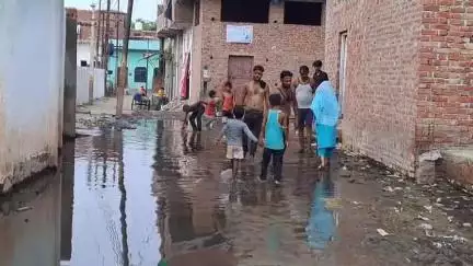 फिरोज़ाबाद: वार्ड 47 किशन नगर वासिन्दे भीषण गंदगी ऒर जल भराव की समस्या सें नरकीय जीवन जीने को मजबूर #jansamasya