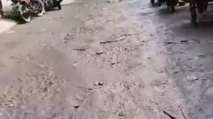 বেলডাঙা ১: বেলডাঙার মাড্ডা অঞ্চলের বেহাল রাস্তা ও নিকাশী নালা,অবিলম্বে সাড়াই এর দাবি এলাকার সাধারণের #jansamasya