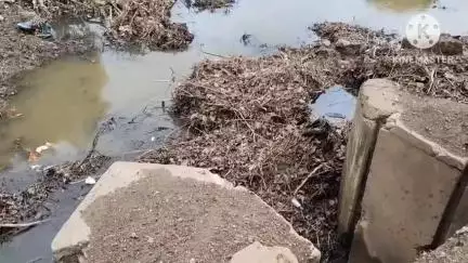 बड़ौद: नगर में नहीं हुई नदी-नालों की सफ़ाई, बारिश के बाद जलभराव होने से गहराई बाढ़ की आशंका #jansamasya