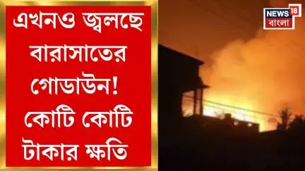Barasat Fire News : এখনও জ্বলছে বারাসাতের গোডাউন! কোটি কোটি টাকার ক্ষতি | Bangla News