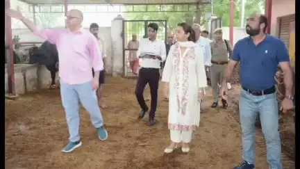 खेकड़ा: जिलाधिकारी अस्मिता लाल ने अस्थाई गौशाला हिसावदा का किया औचक निरीक्षण, 115 गौवंश मिले संरक्षित, गौवंश को खिलाया गुड़