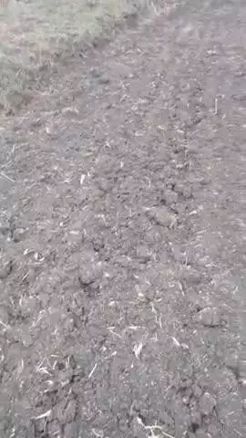 धान और सोड़ाबीन दोनों की भरपूर तैयारी चल रही हैं