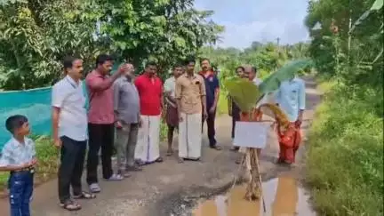 വെെത്തിരി: റോഡിൽ പാതാളക്കുഴി, ആനേരി അഞ്ചാം വാർഡിലെ തകർന്ന റോഡുകളിൽ വാഴ നട്ട് സി.പി.എം പ്രതിഷേധം