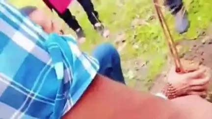 शाजापुर: जन अभियान परिषद द्वारा शाजापुर के पंडित बालकृष्ण शर्मा नवीन महाविद्यालय में पौधरोपण