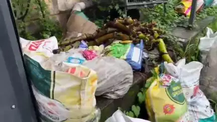 കണ്ണൂർ: അശാസ്ത്രീയ മാലിന്യ സംസ്കരണം, പയ്യന്നൂരിലെ ഫാൻസ് സൂപ്പർ മാർക്കറ്റിന് 10000 രൂപ പിഴ