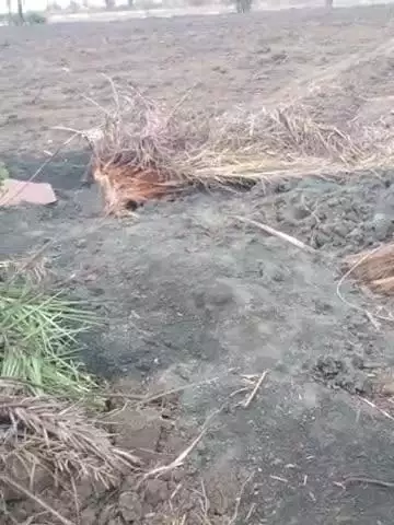 ग्राम सियारी में गड्ढा होते जा रहे दिनों दिन फैल जल स्तर पहुंचा बहुत नीचे।