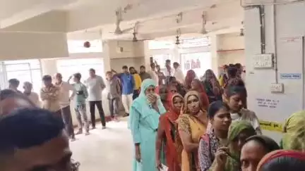 જૂનાગઢ: જિલ્લાની કુલ 73 સામાન્ય ગ્રામ પંચાયત ચૂંટણીમાં સાંજના 5 વાગ્યા સુધીમાં 65.35% મતદાન થયું