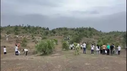 बुरहानपुर नगर: झिरी पहाड़ी पर जिला प्रशासन ने रोपे 1 लाख बीज, डिप्टी कलेक्टर ने दी जानकारी