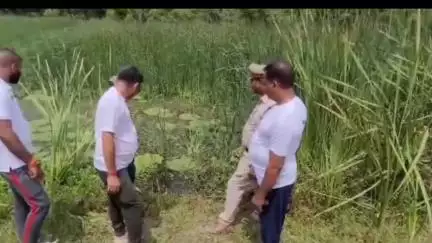 निचलौल: गण्डक साधू घाट के पास नारायणी नदी के किनारे मगरमच्छ के 18 बच्चों को सुरक्षित दर्जिनियां ताल में छोड़ा गया