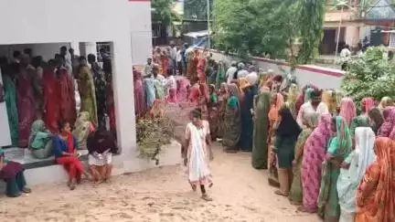 હાલોલ: હાલોલ તાલુકાની ગ્રામ પંચાયતની ચૂંટણી શાંતિપૂર્ણ માહોલમાં સંપન્ન થઇ, સાંજના 5 વાગ્યા સુધીમાં 56.49 ટકા મતદાન નોંધાયું