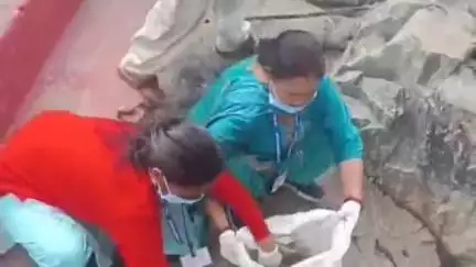 बाराकोट: जिला विधिक सेवा प्राधिकरण ने बाराकोट और लोहाघाट में बृहद सफाई अभियान चलाया