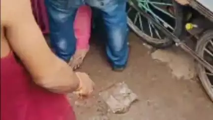 मुरैना नगर: फाटक बाहर सब्जी मंडी में मंगलसूत्र तोड़ने के आरोप में महिला ने युवक को पीटा, कपड़े फाड़े, वीडियो वायरल