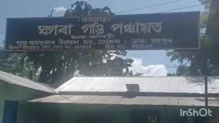 হেলেম: গহপুৰত এটুপি বিশুদ্ধ খোৱাপানীৰ বাবে হাহাকাৰ কৰিবলগীয়া হৈছে ঘগৰা চাহ বাগিছাৰ ৰাইজে #jansamasya