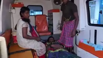 बैतूल: खेत में मक्का बोते समय किसान को लगा करंट, हालत गंभीर, गुवाड़ी ढाना गांव की घटना
