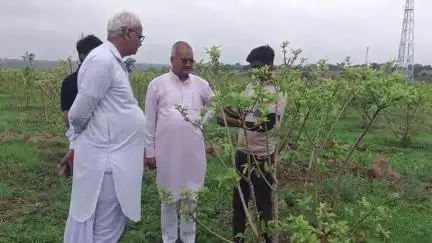 राजगढ़: राजगढ़ सांसद रोडमल नागर ने मोहनपुरा डैम के पास बने कृषिधाम का निरीक्षण किया