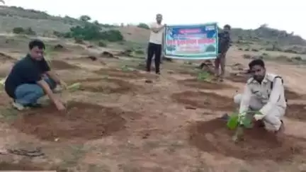 जतारा: वन परिक्षेत्र जतारा में वृक्षारोपण महाकुंभ शुरू, 'एक पेड़ मां के नाम 2.0' के तहत 1.50 लाख पौधे लगाए जा रहे