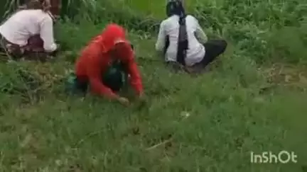बिजनौर: बिजनौर के गुलदार प्रभावित इलाके में वन विभाग की टीम ने खेत में काम कर रहे लोगों को किया जागरूक