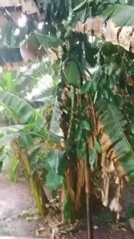 हाय गर्मी 
प्रचंड गर्मी के बाद आज हुआ मानसून का आगमन 
chil summer 🌞⛱️